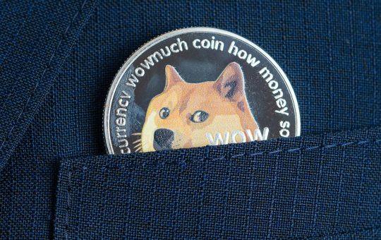 Dogecoin's Downward Slide: 2 Month Stats Show Meme-Based Crypto Is Down 76%