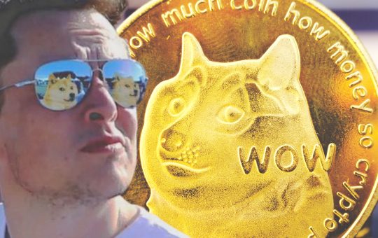 Elon Musk Reaffirms Support for Dogecoin, Changes Profile Picture — DOGE Trading Volumes Jumped 1,250% in Q2