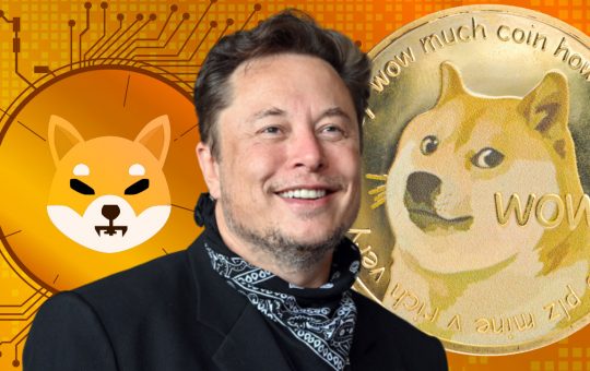Elon Musk Discusses Important Dogecoin Improvements, Confirms He's Not Investing in Shiba Inu