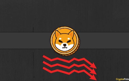 Almost 90% of Shiba Inu (SHIB) Holders Currently Underwater, But There's More